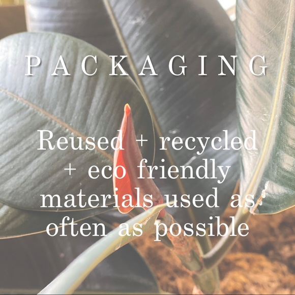 About Bungalow 3220 - Picture 4 of 6